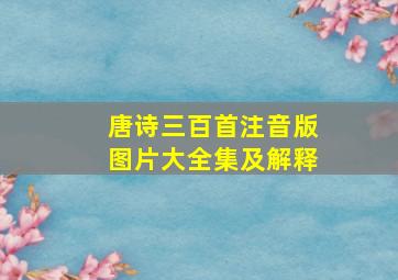 唐诗三百首注音版图片大全集及解释