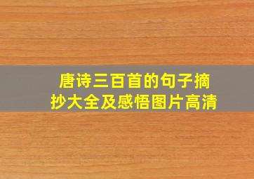 唐诗三百首的句子摘抄大全及感悟图片高清