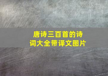 唐诗三百首的诗词大全带译文图片