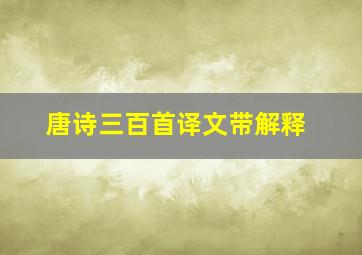 唐诗三百首译文带解释