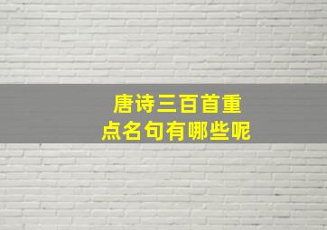 唐诗三百首重点名句有哪些呢