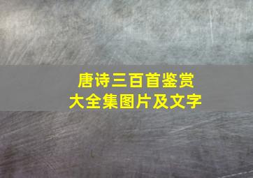 唐诗三百首鉴赏大全集图片及文字