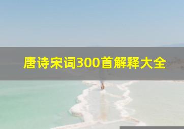 唐诗宋词300首解释大全