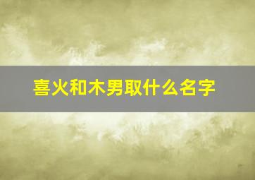 喜火和木男取什么名字