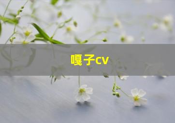 嘎子cv