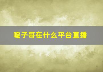 嘎子哥在什么平台直播