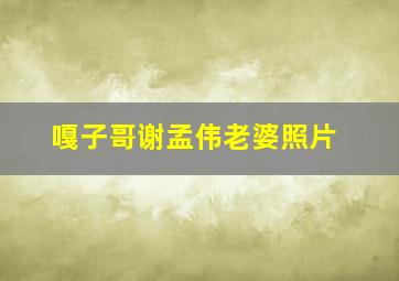 嘎子哥谢孟伟老婆照片