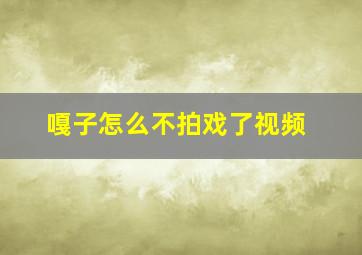 嘎子怎么不拍戏了视频