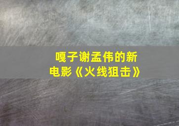 嘎子谢孟伟的新电影《火线狙击》