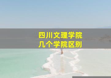 四川文理学院几个学院区别