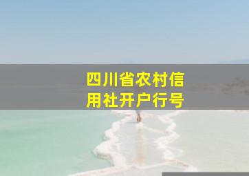 四川省农村信用社开户行号