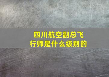 四川航空副总飞行师是什么级别的