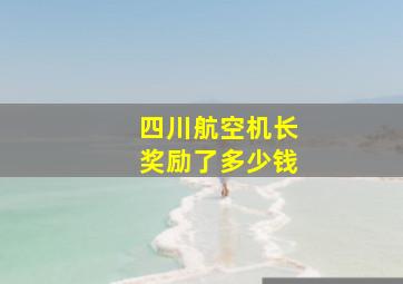 四川航空机长奖励了多少钱