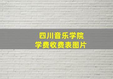 四川音乐学院学费收费表图片