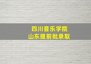 四川音乐学院山东提前批录取