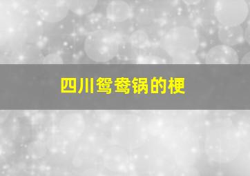 四川鸳鸯锅的梗