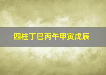 四柱丁巳丙午甲寅戊辰