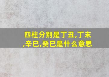 四柱分别是丁丑,丁末,辛巳,癸巳是什么意思