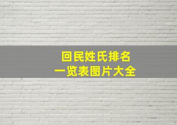 回民姓氏排名一览表图片大全