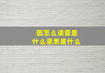 囡怎么读音是什么意思是什么