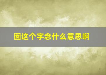 囡这个字念什么意思啊