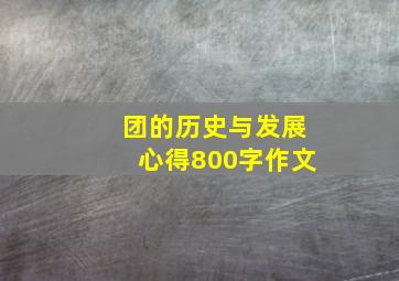 团的历史与发展心得800字作文