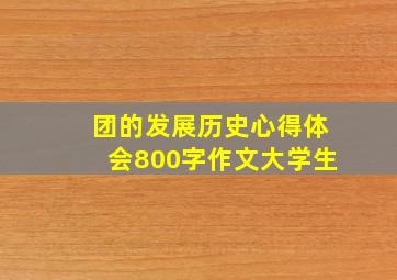 团的发展历史心得体会800字作文大学生