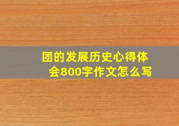 团的发展历史心得体会800字作文怎么写