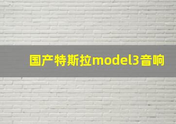 国产特斯拉model3音响