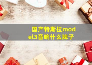 国产特斯拉model3音响什么牌子