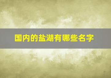 国内的盐湖有哪些名字