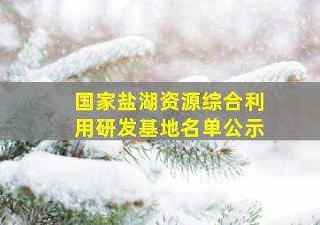 国家盐湖资源综合利用研发基地名单公示