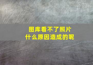 图库看不了照片什么原因造成的呢