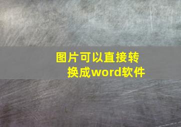 图片可以直接转换成word软件