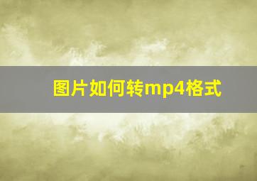 图片如何转mp4格式