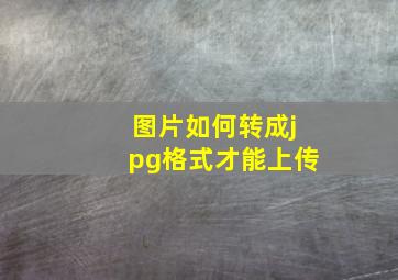 图片如何转成jpg格式才能上传