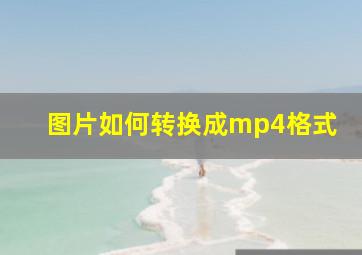 图片如何转换成mp4格式