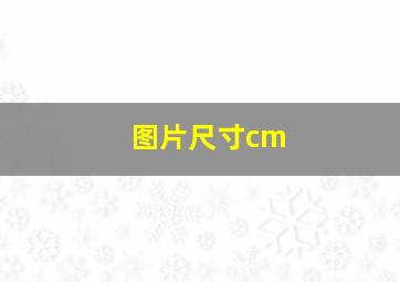 图片尺寸cm