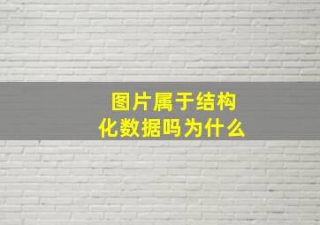 图片属于结构化数据吗为什么