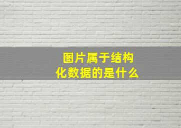 图片属于结构化数据的是什么