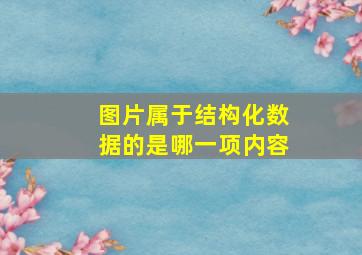 图片属于结构化数据的是哪一项内容