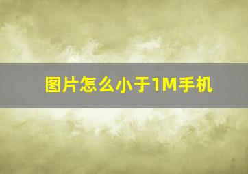 图片怎么小于1M手机