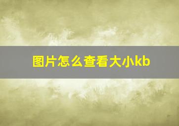 图片怎么查看大小kb