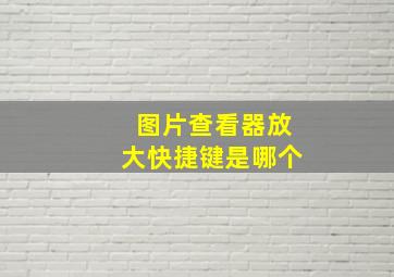 图片查看器放大快捷键是哪个