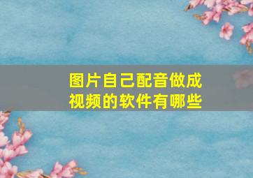 图片自己配音做成视频的软件有哪些