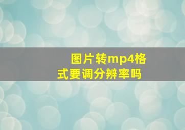 图片转mp4格式要调分辨率吗