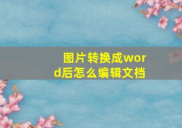 图片转换成word后怎么编辑文档