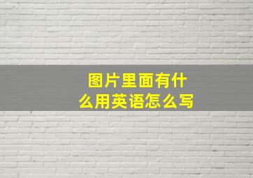 图片里面有什么用英语怎么写