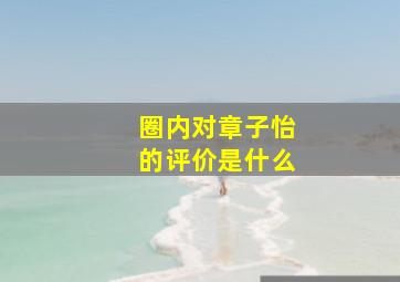 圈内对章子怡的评价是什么