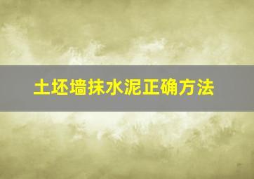 土坯墙抹水泥正确方法